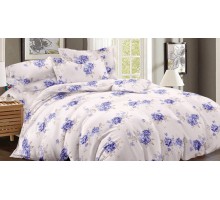 Постельное белье полутораспальное Art Color 044-AC