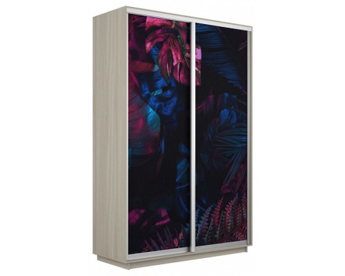 Шкаф-купе Экспресс Фото дуо 1004 1200x450x2400