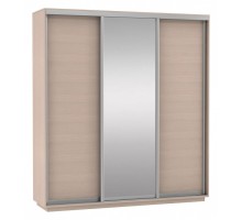 Шкаф-купе Экспресс Медиум (1 зеркало) Трио 2400x600x2400