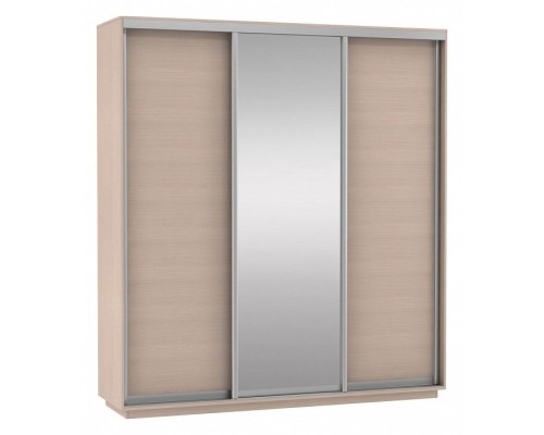 Шкаф-купе Экспресс Медиум (1 зеркало) Трио 2400x600x2400