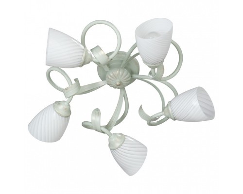 Потолочная люстра Vitaluce V3214 V3214/5PL