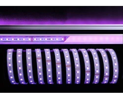 Лента светодиодная [5 м] Deko-Light  840241