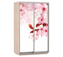 Шкаф-купе Экспресс Фото дуо