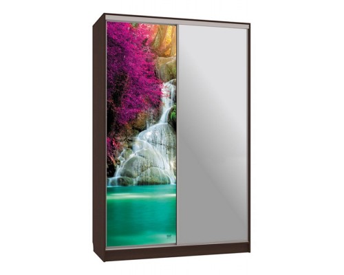 Шкаф-купе Рио 9-600 49