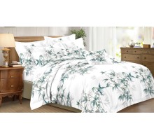 Постельное белье евростандарт Art Color 077-AC