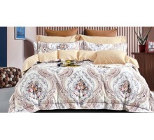 Постельное белье евростандарт RS-305
