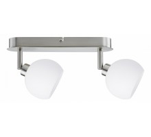 Спот Paulmann Wolbi 60151