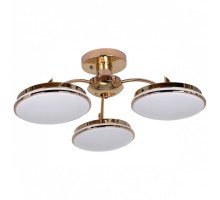 Потолочная люстра F-promo Ledante 2473-3P