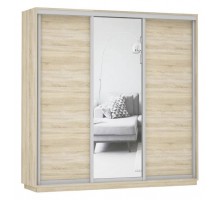 Шкаф-купе Экспресс Медиум (1 зеркало) Трио 2100x600x2200