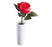 Растение в горшке Globo Orphelia 28021