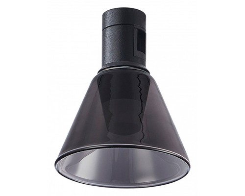 Светильник на штанге ST-Luce Farm 