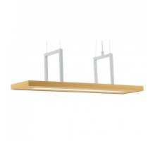 Подвесной светильник Eglo ПРОМО Tondela 96959