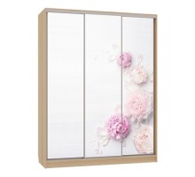 Шкаф-купе Бассо 7-600 17