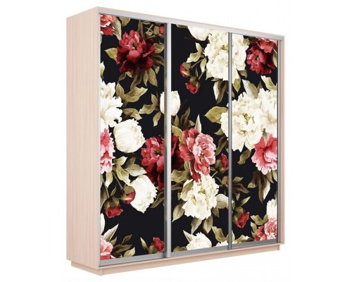 Шкаф-купе Экспресс Фото трио 1020 2400x600x2400