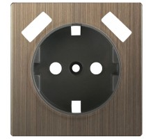 Накладка для розетки с заземлением и 2хUSB Werkel Бронзовый WL12-USB-CP