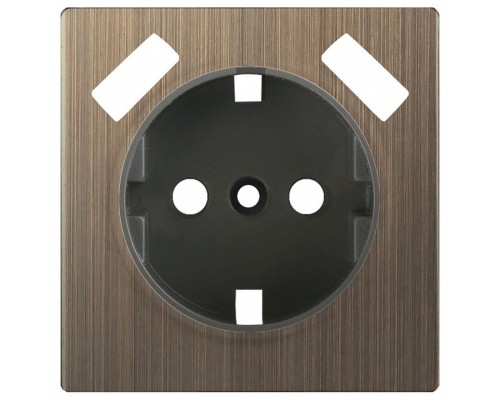 Накладка для розетки с заземлением и 2хUSB Werkel Бронзовый WL12-USB-CP