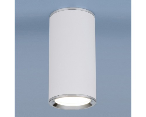 Накладной светильник Elektrostandard DLN101 a043967