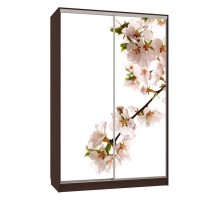 Шкаф-купе Рио 7-600 Европа