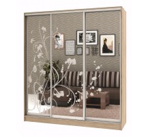 Шкаф-купе Армандо-3 1700x496x2200 мм