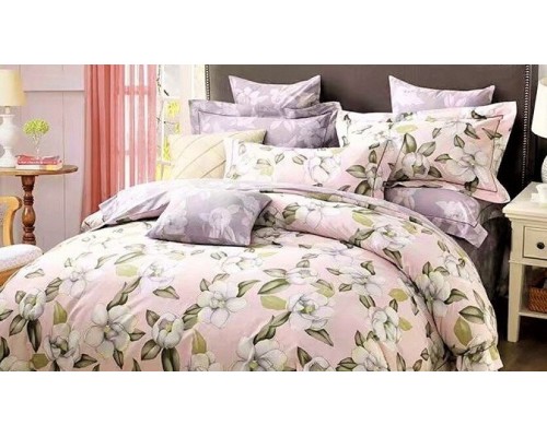 Постельное белье евростандарт RS-275