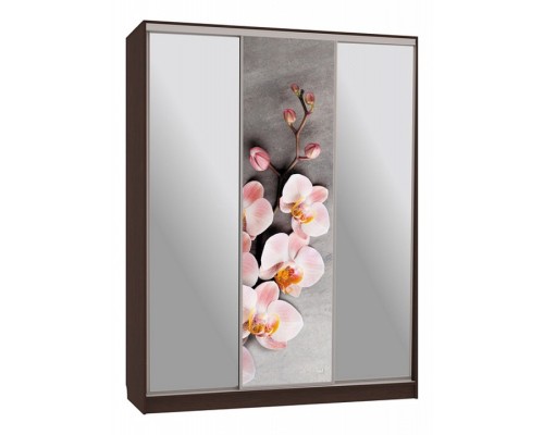 Шкаф-купе Бассо 9-600 78