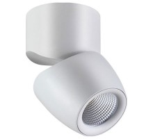 Спот Novotech Zeus 357868