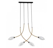 Подвесной светильник Indigo Fiore 13001/4P Black