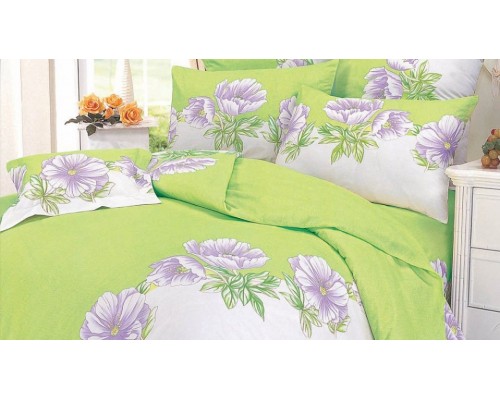 Постельное белье евростандарт A-32