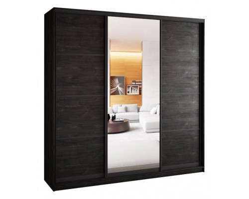 Шкаф-купе А0471494704 2500x580