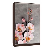 Шкаф-купе Рио 7-600 78