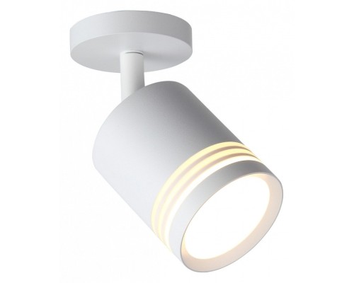 Светильник на штанге ST-Luce Cerione