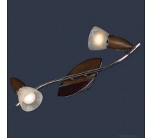 Спот Lussole Cisterino 