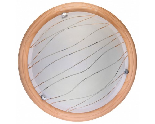 Накладной светильник TopLight Gabrielle TL9610Y-00PN