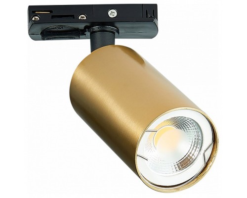 Светильник на штанге ST-Luce ST300 