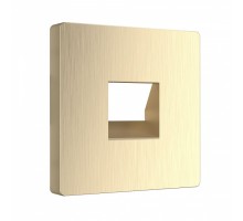 Накладка для розетки RJ11 Werkel шампань рифленый WL10-RJ-11-CP (шампань рифленый)