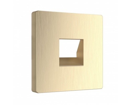 Накладка для розетки RJ11 Werkel шампань рифленый WL10-RJ-11-CP (шампань рифленый)