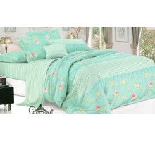 Постельное белье полутораспальное Германика