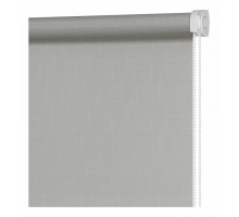 Штора рулонная (40x160 см) Апилера