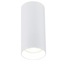 Накладной светильник SIMPLE STORY 2034 2034-1CLW