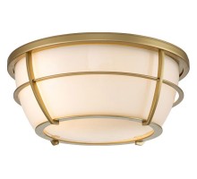 Накладной светильник Quoizel Chance (Qz) QZ-CHANCE-F-PNBR