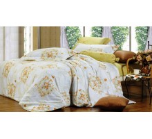 Постельное белье полутораспальное B-97