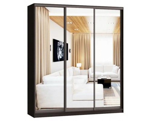 Шкаф-купе А0471494688 2300x580