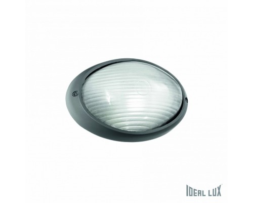 Накладной светильник Ideal Lux MIKE MIKE AP1 SMALL ANTRACITE