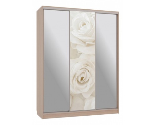 Шкаф-купе Бассо 9-600 розы