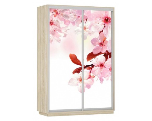 Шкаф-купе Экспресс Фото Дуо Сакура 1200x600x2400