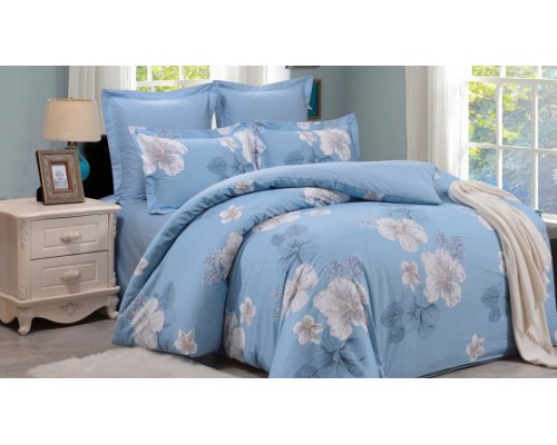 Постельное белье евростандарт Вальтери С