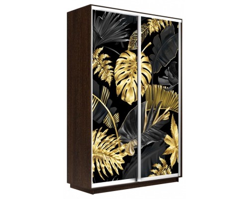 Шкаф-купе Экспресс Фото дуо 1003 1200x600x2400