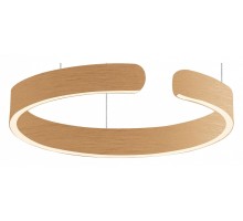 Подвесной светильник Milosh Tendence 687 0687CL-42GD