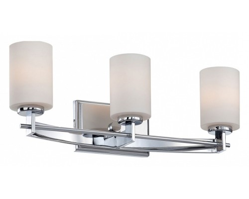 Светильник на штанге Quoizel Taylor QZ-TAYLOR3-BATH