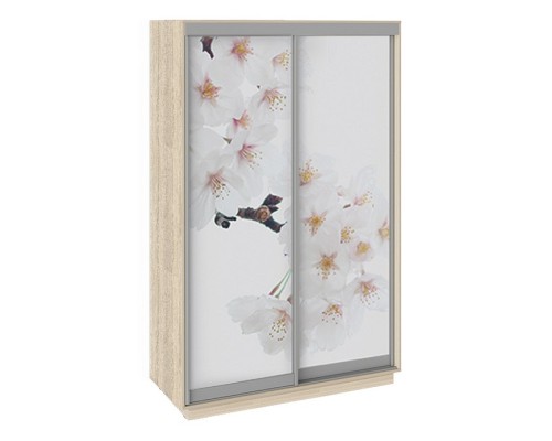 Шкаф-купе Румер СШК 1.140.70-25